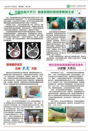 2023年第四期 第三版